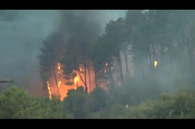 Incendi boschivi, bilancio dell’estate al Parco delle Cinque terre