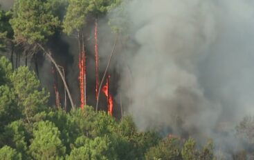 Incendio Pitelli, probabile origine dolosa