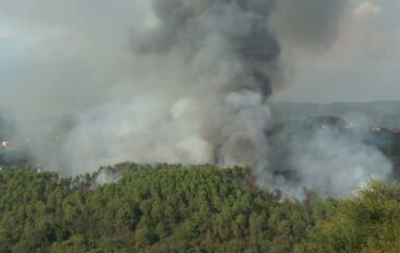 Incendio sulle colline di Pitelli